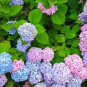 ヒメ日記 2026/06/08 04:24 投稿 しいな 妻天 京橋店