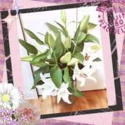 ヒメ日記 2026/08/07 06:54 投稿 しいな 妻天 京橋店