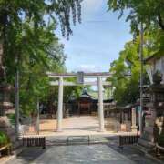 ヒメ日記 2026/08/18 15:21 投稿 しいな 妻天 京橋店