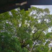 ヒメ日記 2026/09/12 16:14 投稿 しいな 妻天 京橋店