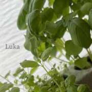 ヒメ日記 2025/08/28 02:05 投稿 ルカ 贅沢なひと時