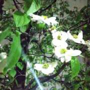 ヒメ日記 2025/04/25 23:03 投稿 城田みき 松戸人妻花壇