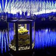 ヒメ日記 2025/11/24 09:15 投稿 城田みき 松戸人妻花壇