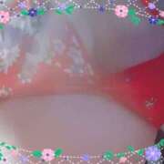 ヒメ日記 2025/01/23 13:17 投稿 ユズ GooGoo ～グーグー～