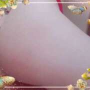 ヒメ日記 2025/05/10 12:49 投稿 ユズ GooGoo ～グーグー～