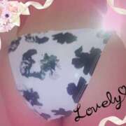 ヒメ日記 2025/11/14 13:50 投稿 ユズ GooGoo ～グーグー～