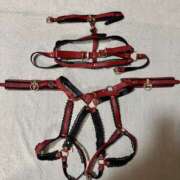 ヒメ日記 2025/12/20 00:00 投稿 のぞみ 新大阪秘密倶楽部