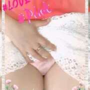 ヒメ日記 2025/04/29 16:42 投稿 ピンク GooGoo ～グーグー～