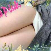 ヒメ日記 2025/09/12 14:52 投稿 ピンク GooGoo ～グーグー～