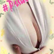 ヒメ日記 2025/11/19 14:55 投稿 ピンク GooGoo ～グーグー～