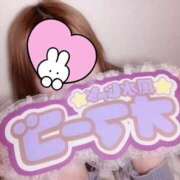 ヒメ日記 2024/12/21 11:48 投稿 こはる パイレーツ