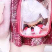 ヒメ日記 2025/02/25 15:08 投稿 こはる パイレーツ