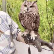 ヒメ日記 2026/02/17 22:38 投稿 こはる パイレーツ