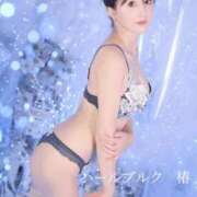 ヒメ日記 2025/01/07 11:35 投稿 椿ゆい ハールブルク