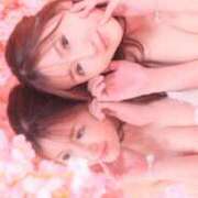 ヒメ日記 2025/03/07 17:05 投稿 椿ゆい ハールブルク