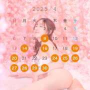 ヒメ日記 2025/03/31 08:14 投稿 椿ゆい ハールブルク