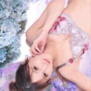 ヒメ日記 2025/04/20 07:15 投稿 椿ゆい ハールブルク