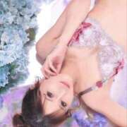 ヒメ日記 2025/06/11 16:27 投稿 椿ゆい ハールブルク