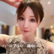ヒメ日記 2025/07/08 09:39 投稿 椿ゆい ハールブルク