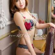 ヒメ日記 2025/08/06 17:52 投稿 椿ゆい ハールブルク