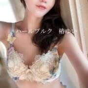 ヒメ日記 2025/09/20 07:59 投稿 椿ゆい ハールブルク