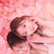 ヒメ日記 2025/11/03 09:39 投稿 椿ゆい ハールブルク