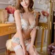 ヒメ日記 2025/11/22 08:16 投稿 椿ゆい ハールブルク