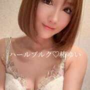 ヒメ日記 2025/11/24 21:32 投稿 椿ゆい ハールブルク