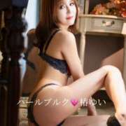 ヒメ日記 2025/12/14 12:21 投稿 椿ゆい ハールブルク