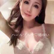 ヒメ日記 2025/12/17 20:24 投稿 椿ゆい ハールブルク