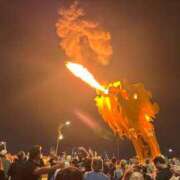 ヒメ日記 2026/01/09 12:09 投稿 椿ゆい ハールブルク