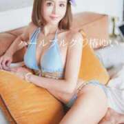 ヒメ日記 2026/04/12 17:56 投稿 椿ゆい ハールブルク