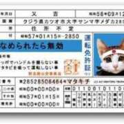 ヒメ日記 2023/12/22 11:43 投稿 ミルク クラブJ-1
