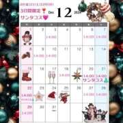 ヒメ日記 2024/12/19 17:06 投稿 かりん ニュー不夜城