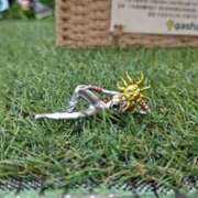 ヒメ日記 2026/01/14 22:03 投稿 橋本(はしもと) 相模原人妻城