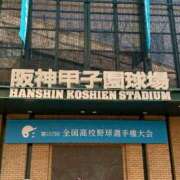 にも 抜け殻 ウルトラグレイス24