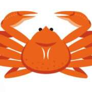 ヒメ日記 2024/12/29 18:07 投稿 のぞみ ラブハーレム(水戸)