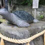 ヒメ日記 2025/02/10 10:45 投稿 のぞみ ラブハーレム(水戸)