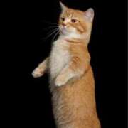 ヒメ日記 2025/02/22 02:39 投稿 のぞみ ラブハーレム(水戸)