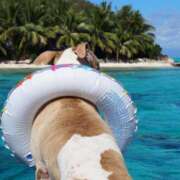 ヒメ日記 2025/03/16 00:34 投稿 のぞみ ラブハーレム(水戸)