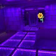 ヒメ日記 2025/03/26 03:47 投稿 のぞみ ラブハーレム(水戸)