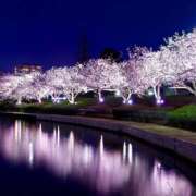 ヒメ日記 2025/04/07 22:27 投稿 のぞみ ラブハーレム(水戸)