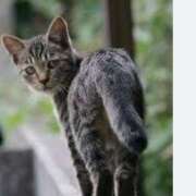 ヒメ日記 2025/05/01 09:21 投稿 のぞみ ラブハーレム(水戸)