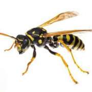 ヒメ日記 2025/06/06 09:23 投稿 のぞみ ラブハーレム(水戸)