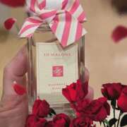 ヒメ日記 2025/09/30 22:13 投稿 のぞみ ラブハーレム(水戸)