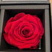 ヒメ日記 2025/10/04 22:51 投稿 のぞみ ラブハーレム(水戸)