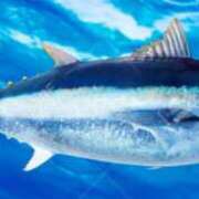 ヒメ日記 2026/01/05 12:02 投稿 のぞみ ラブハーレム(水戸)