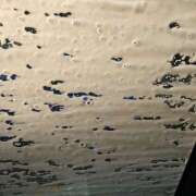 ヒメ日記 2026/01/25 00:46 投稿 のぞみ ラブハーレム(水戸)