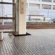 ヒメ日記 2026/02/12 09:47 投稿 のぞみ ラブハーレム(水戸)