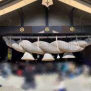 ヒメ日記 2026/03/09 05:27 投稿 のぞみ ラブハーレム(水戸)